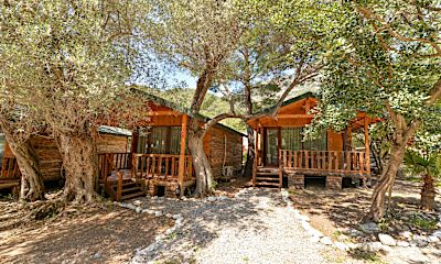 Cedar House